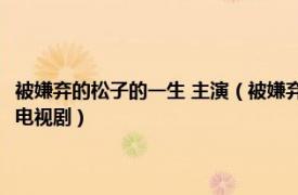 被嫌弃的松子的一生 主演（被嫌弃的松子的一生 日本2006年酒井圣博导演电视剧）