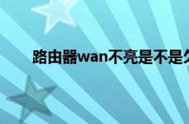 路由器wan不亮是不是欠费了（路由器WAN不亮）