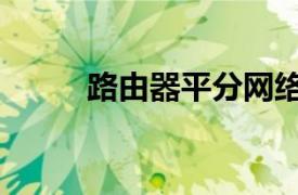 路由器平分网络（路由水平分割）