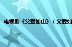 电视剧《父爱如山》（父爱如山 2010年黄力加执导的电视剧）