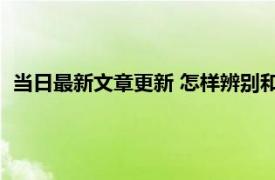 当日最新文章更新 怎样辨别和田玉是真是假 从三个方面来分辨