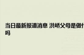 当日最新报道消息 洪峤父母是做什么的很有钱的吗 洪峤死刑是立即执行的吗