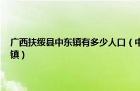 广西扶绥县中东镇有多少人口（中东镇 广西壮族自治区崇左市扶绥县下辖镇）