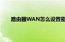 路由器WAN怎么设置密码（路由器wan怎么设置）