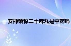 安神镇惊二十味丸是中药吗（安神镇惊二十味丸 中药丸剂）