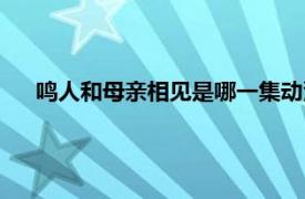 鸣人和母亲相见是哪一集动漫（鸣人和母亲相见是哪一集）