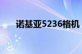 诺基亚5236格机（诺基亚5230软格）