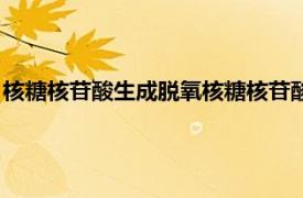 核糖核苷酸生成脱氧核糖核苷酸（脱氧核糖核苷酸的生成的方式）