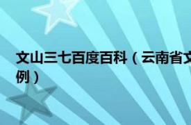 文山三七百度百科（云南省文山壮族苗族自治州文山三七发展条例）