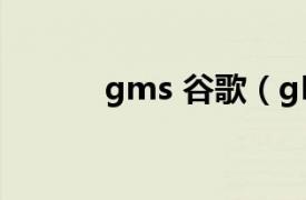 gms 谷歌（gMusic谷歌音乐）