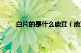 白片的是什么鹿茸（鹿茸粉片和白片有什么区别）