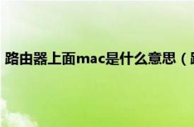 路由器上面mac是什么意思（路由设置里面的MAC是什么意思）