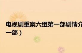 电视剧重案六组第一部剧情介绍（重案六组 徐庆东执导电视剧第一部）