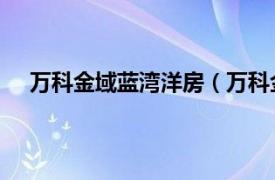 万科金域蓝湾洋房（万科金域蓝湾 江苏万科金域蓝湾）