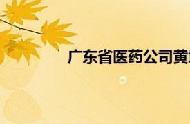 广东省医药公司黄埔（广东省医药公司）