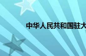 中华人民共和国驻大韩民国大使馆国防武官