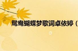 鸳鸯蝴蝶梦歌词卓依婷（两只蝴蝶 卓依婷演唱歌曲）