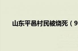 山东平邑村民被烧死（9.16山东平邑拆迁自焚事件）