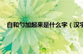 白和勺加起来是什么字（汉字白勺的是前面还是后面加动词）