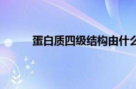 蛋白质四级结构由什么决定（蛋白质四级结构）