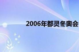 2006年都灵冬奥会火炬传递活动在意大利