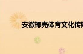 安徽椰壳体育文化传媒有限公司投资的兴趣班