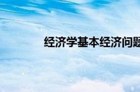 经济学基本经济问题（中国问题的经济学）