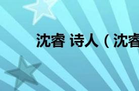 沈睿 诗人（沈睿 旅美作家、学者）