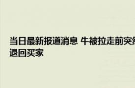 当日最新报道消息 牛被拉走前突然含泪跪地不愿走！主人：不卖了！把钱退回买家