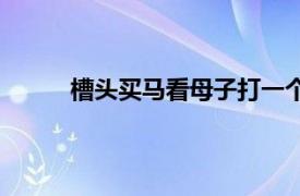 槽头买马看母子打一个数字（槽头买马看母子）