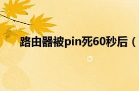 路由器被pin死60秒后（路由器被pin死是什么意思）