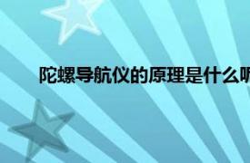 陀螺导航仪的原理是什么呢（陀螺导航仪的原理是什么）