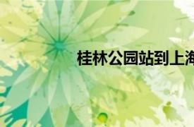 桂林公园站到上海南站（桂林公园站）