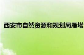 西安市自然资源和规划局雁塔分局（西安市自然资源和规划局）