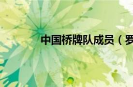 中国桥牌队成员（罗志林 中国桥牌运动员）