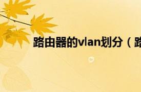 路由器的vlan划分（路由器划分vlan有什么用）