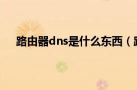 路由器dns是什么东西（路由器上的DNS是什么意思）