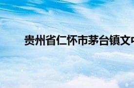 贵州省仁怀市茅台镇文中酒业有限公司楚吉古韵酒