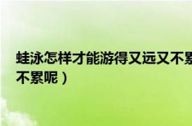 蛙泳怎样才能游得又远又不累呢视频（蛙泳怎样才能游得又远又不累呢）