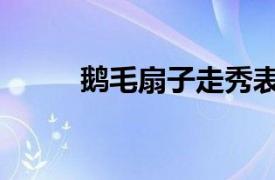 鹅毛扇子走秀表演视频（鹅毛扇）