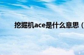 挖掘机ace是什么意思（挖机上的KYB是什么意思）