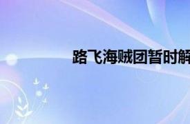 路飞海贼团暂时解散在动画第几集里面