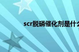 scr脱硝催化剂是什么（脱硝催化剂是什么）