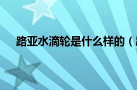 路亚水滴轮是什么样的（路亚水滴轮轴数是什么意思）