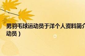 男羽毛球运动员于洋个人资料简介（于洋 1986年4月出生的中国羽毛球运动员）