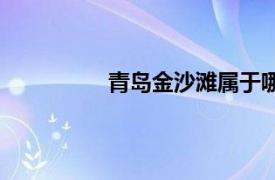 青岛金沙滩属于哪个区（青岛金沙滩）