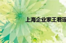 上海企业家王君瑶（陈瑶 上海企业家）