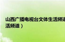 山西广播电视台文体生活频道在线直播（山西广播电视台文体生活频道）