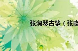 张润琴古筝（张晓棠 中国古筝弹奏家）