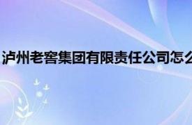 泸州老窖集团有限责任公司怎么样（泸州老窖集团有限责任公司）